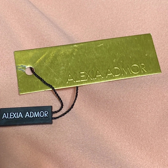 Alexia Ardmor NEW Color Block Pink/Burgundy Midi Sheath Dress Size XL - Picture 9 of 12